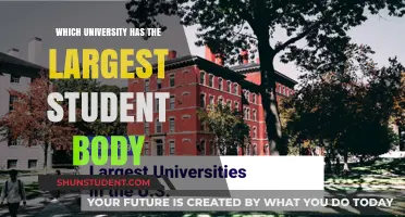 Explore the University with the Largest Student Body