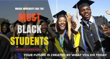 Diversity in Higher Education: Top Universities with the Highest Black Enrollments