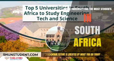 Universities in South Africa: Where Students Flock