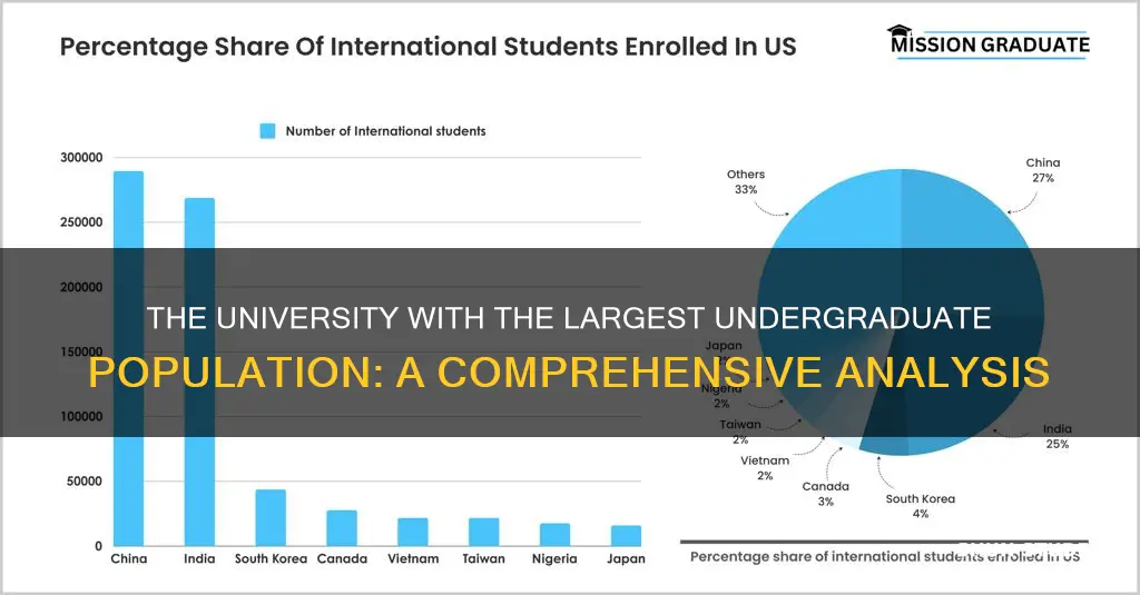 which university has the most undergraduate students