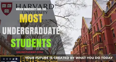 Universities with Largest Undergraduate Student Populations