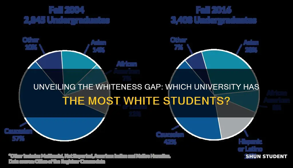 which university has the most white students