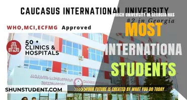 International Students in Georgia: Top University Hub