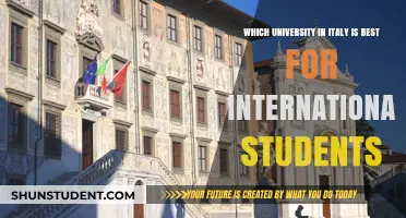 Italy's Top Universities for International Students: A Comprehensive Guide