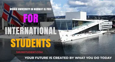 Unlock Norway's Education: Free University for International Students