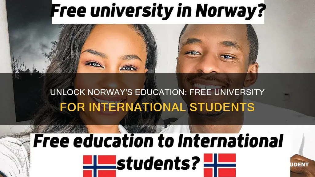 which university in norway is free for international students