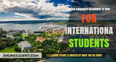 International Students: Free Tuition in Norwegian Universities