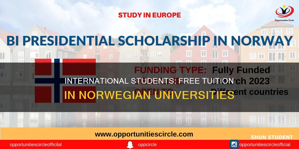 which university in norway is free for international students