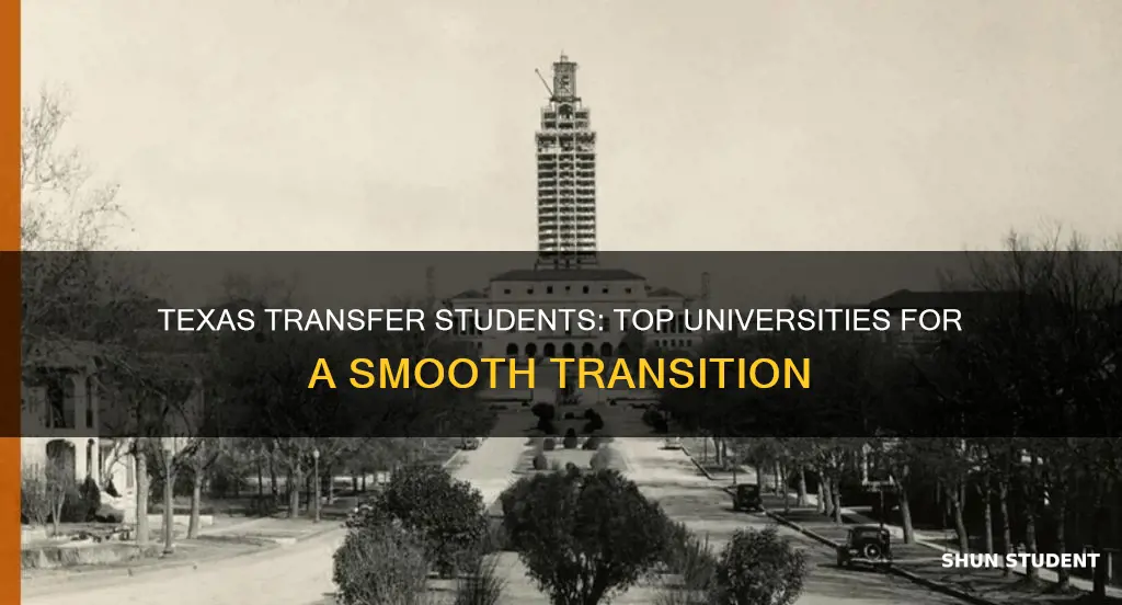 which university in texas attracts transfer student