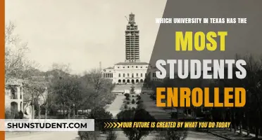 Texas University Enrollments: A Comprehensive Comparison