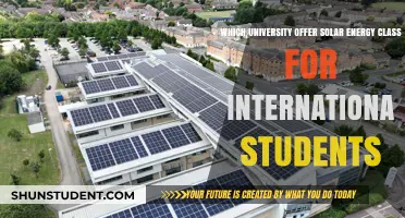 Top Solar Energy Courses at International Universities