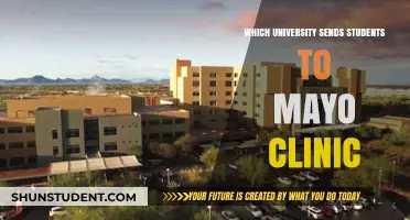 Top Universities for Mayo Clinic Internships