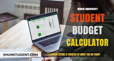 Student Budget Calculator: Which University is Best for You?