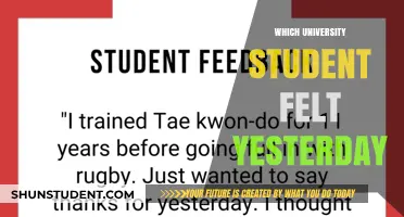 University Students: Yesterday's Emotional Turmoil