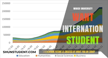 International Students: Which Universities Welcome You?