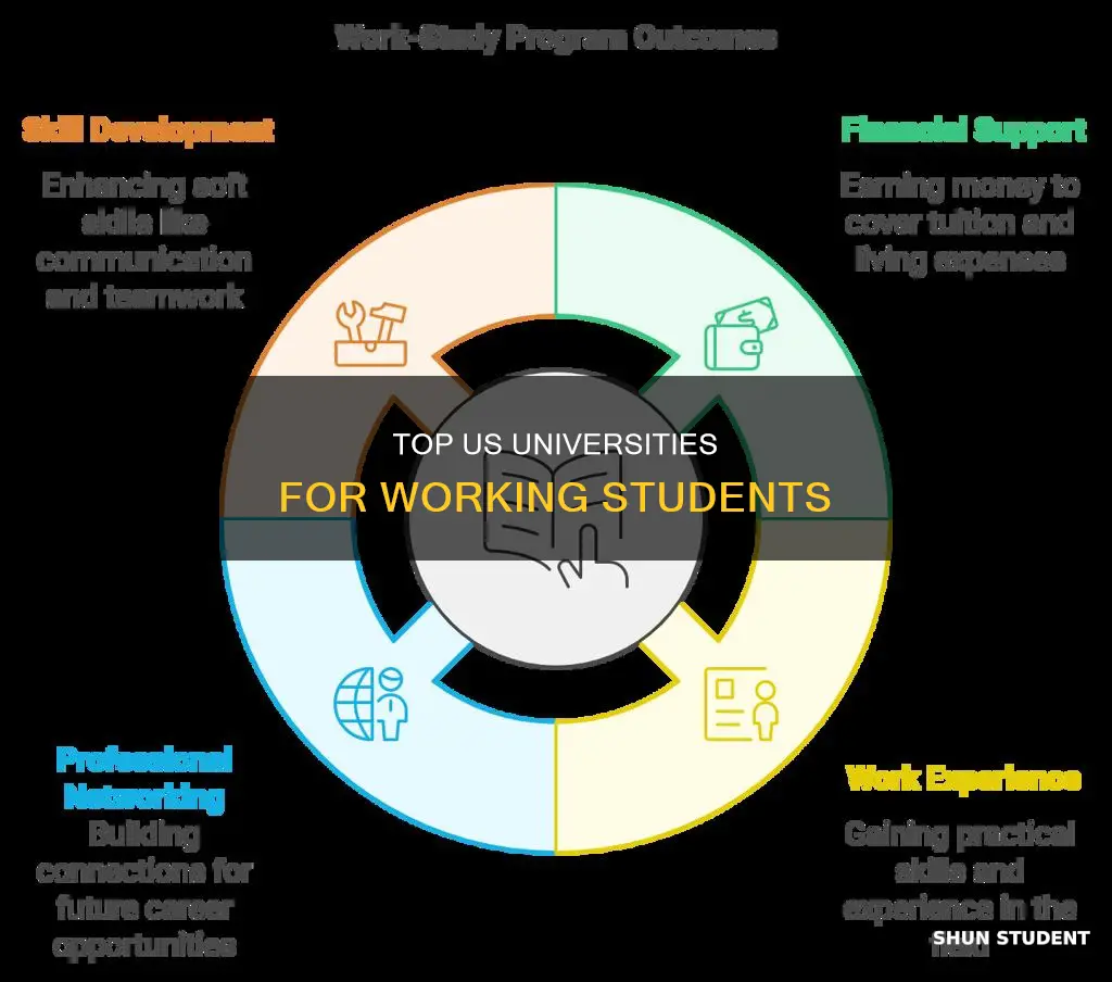 which us universities students can work while studying