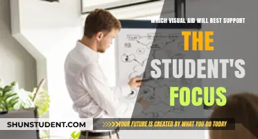 Enhancing Student Focus: Choosing the Right Visual Aid for Learning