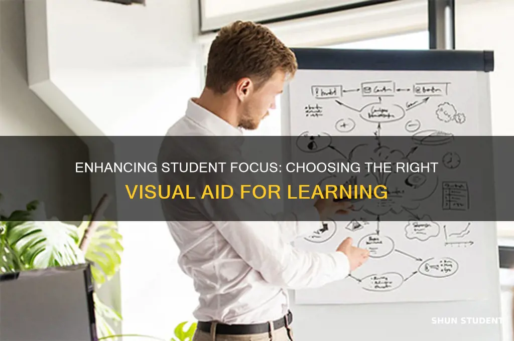 which visual aid will best support the student