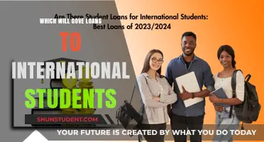 Loans for International Students: Where to Get Them?