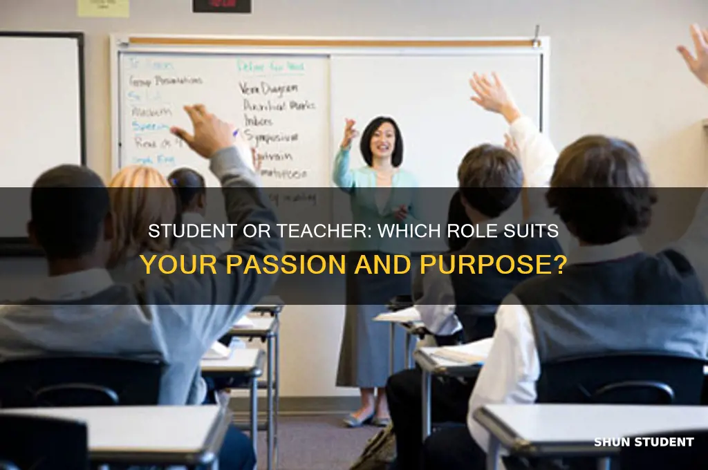 which would you rather be a student or a teacher