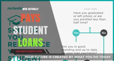 Student Loans: Who Pays and Why It Matters