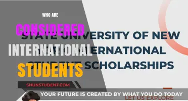 Understanding the Criteria for International Student Status