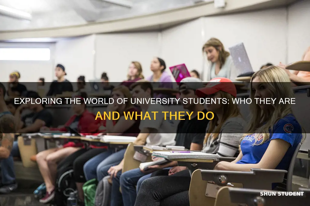 who are university student