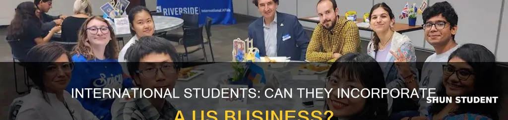 who can incorporate a business in the us international student