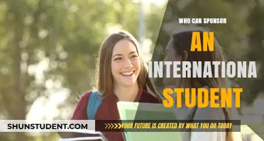 Sponsors for International Students: Who Can Help?