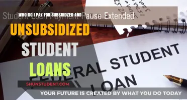 Understanding Student Loan Payments: Subsidized and Unsubsidized Explained