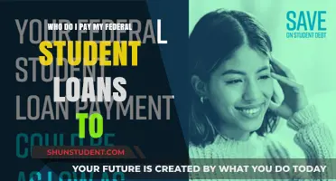 Where to Send Federal Student Loan Payments?