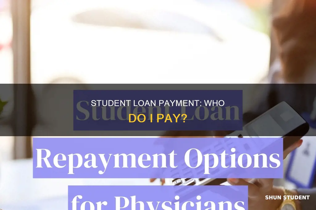 who do i pay my student loan back to