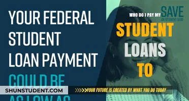 Student Loan Payment: Who Gets Paid?