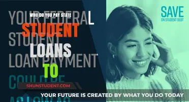 Paying Off Student Loans: Who Gets the Money?