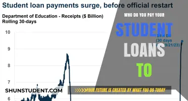 Where Do Student Loan Payments Go?