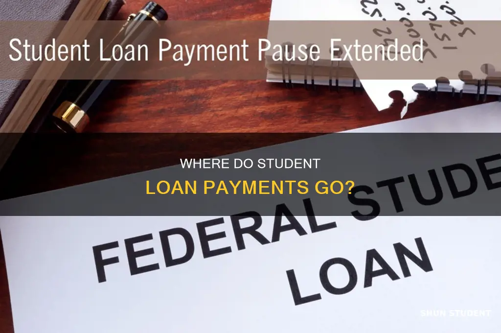 who do you pay your student loans to