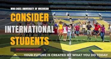 Understanding Michigan's International Student Admissions Criteria