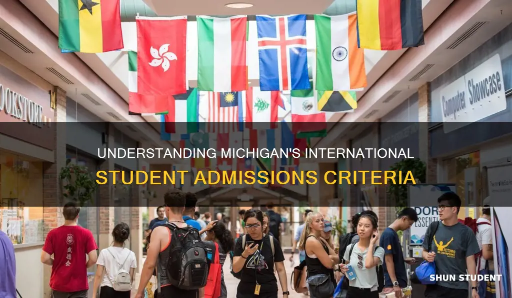 who does university of michigan consider international students