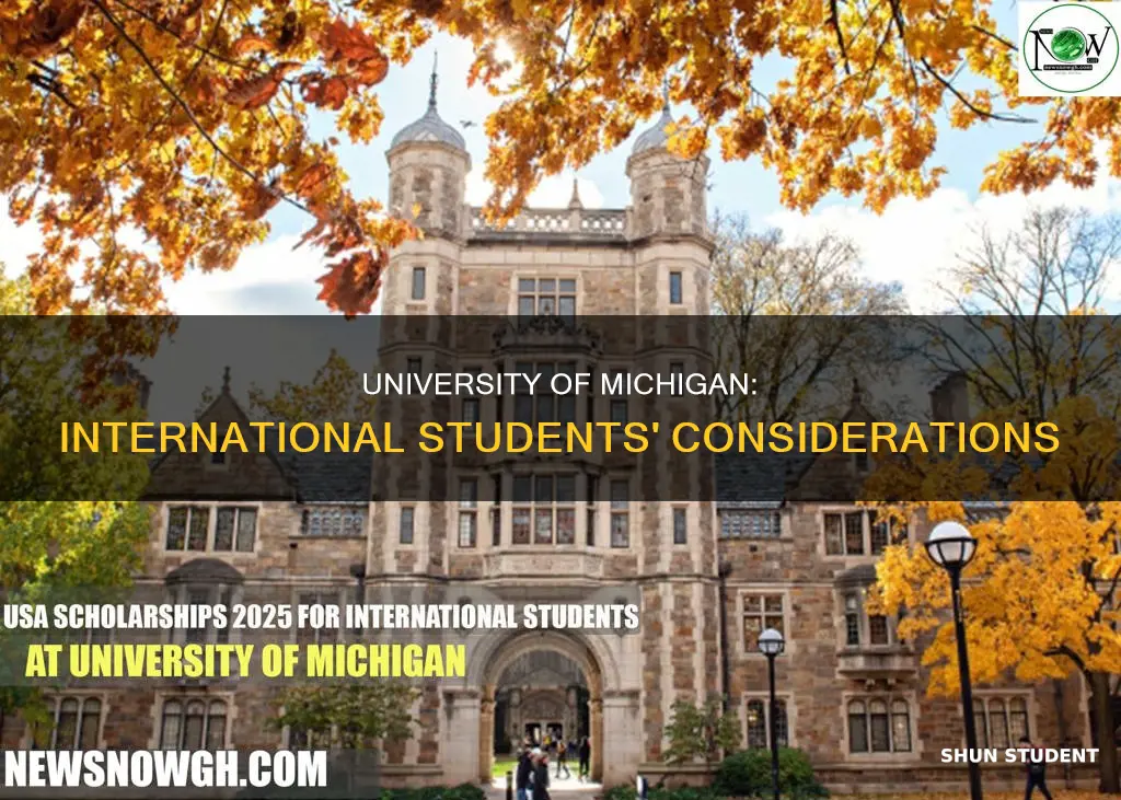 who does university of michigan consider international students