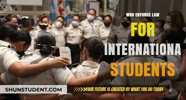 International Students: Understanding Your Legal Protections
