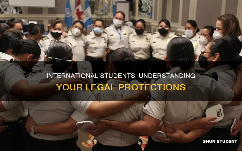 who enforce law for international students