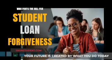 Who Pays for Student Loan Forgiveness? Taxpayers or Government?
