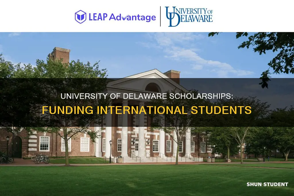 who funds university of delaware scholarships for international students