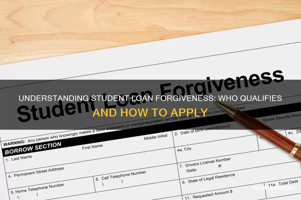 who gets student loan forgivness