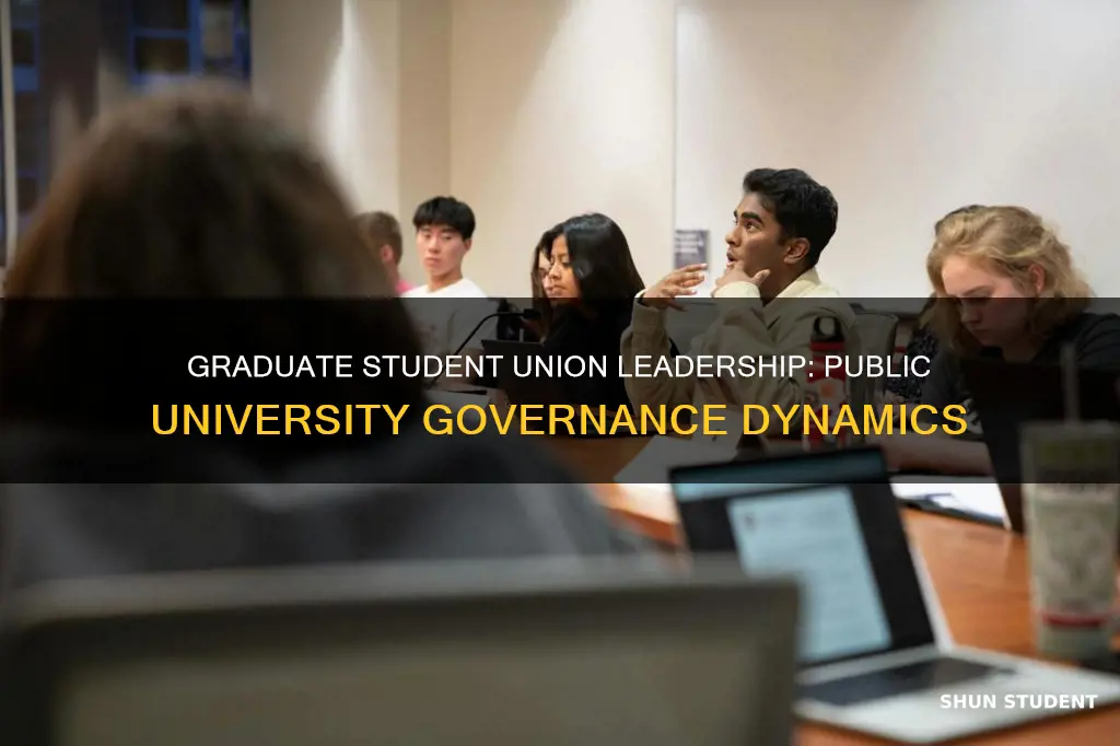 who governs graduate student unions at public universities