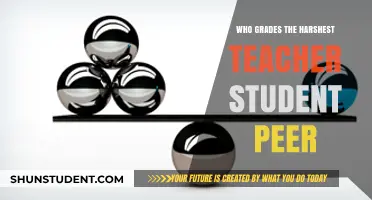 Harshest Teacher vs. Peer Grading: Who Judges Students More Critically?