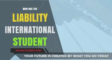 International Students and Tax Liability: Who Owes?