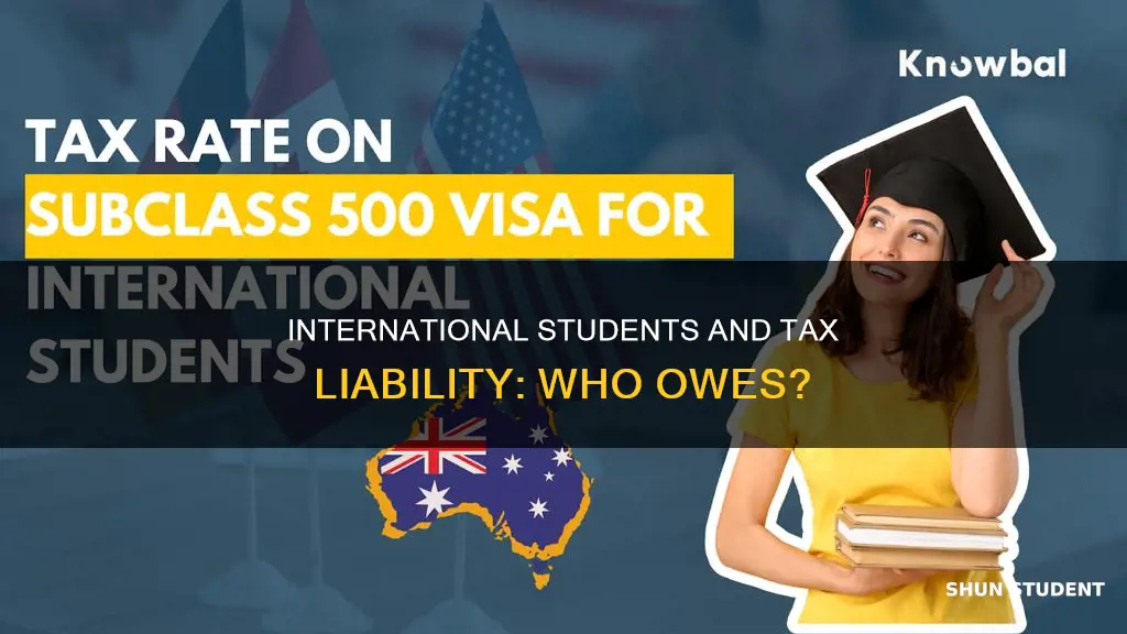 who has tax liability international student