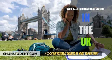 International Students in the UK: Who Are They?