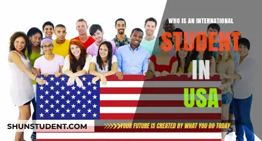 International Students in the USA: Who Are They?